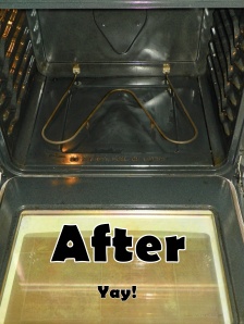 Clean Your Oven Naturally and Cheaply :: Pen Pals and Cookin' Gals Blog