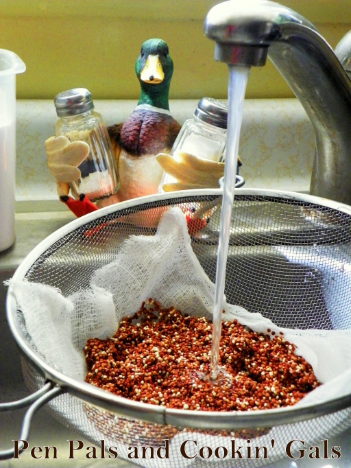 Wash Your Quinoa :: Bird Seed (Quinoa) Energy Bars :: Pen Pals and Cookin' Gals